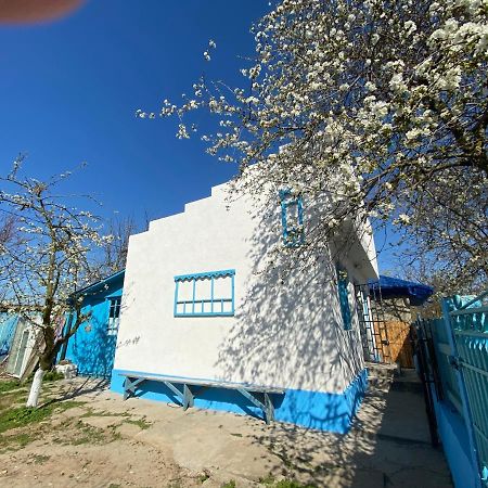 茹里洛夫卡Casa Bunicilor Granny'S House别墅 外观 照片