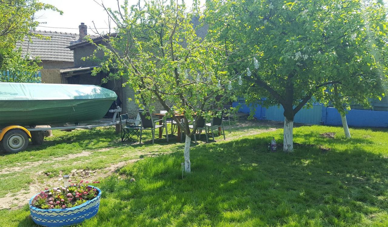 茹里洛夫卡Casa Bunicilor Granny'S House别墅 外观 照片