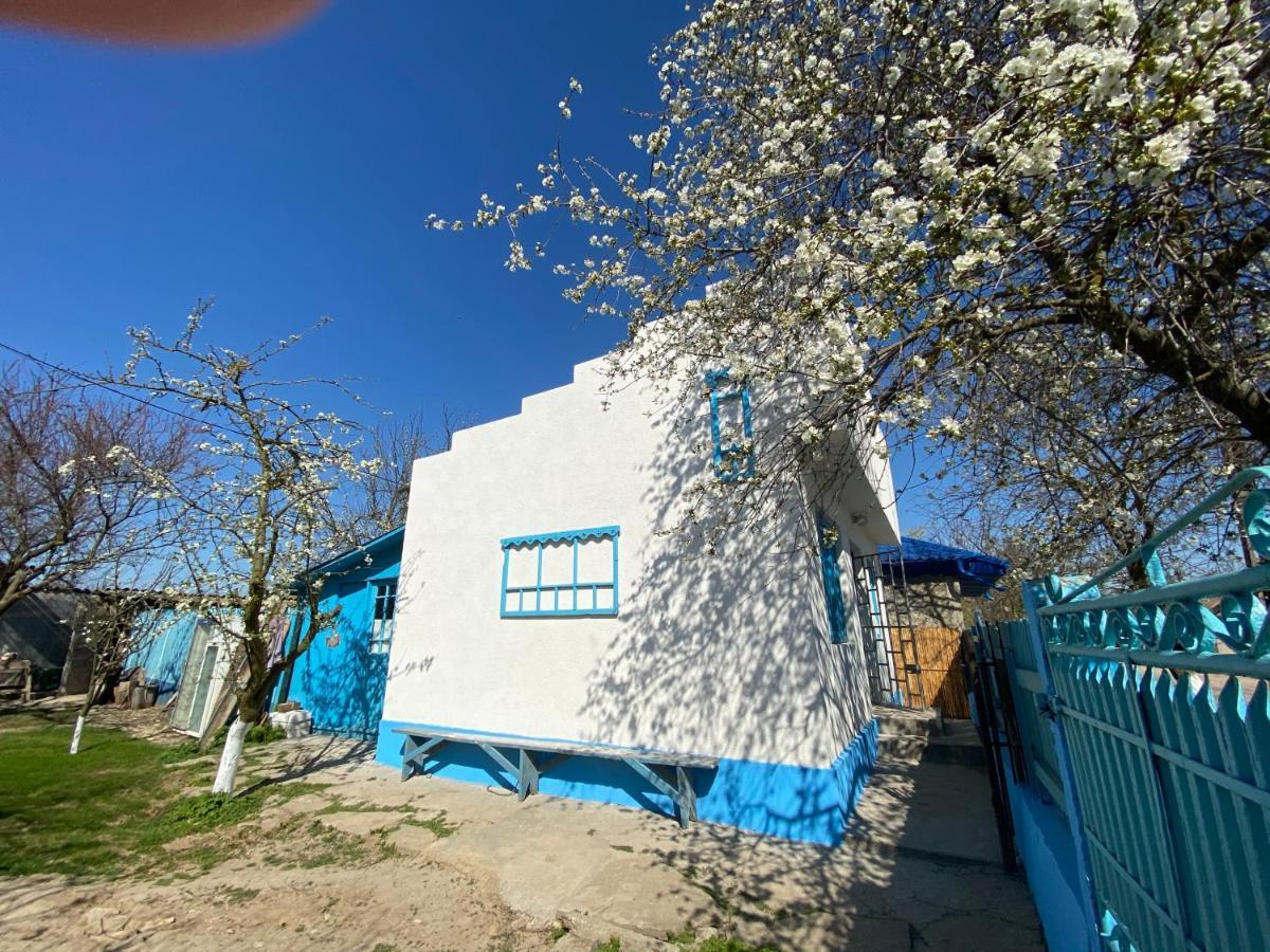 茹里洛夫卡Casa Bunicilor Granny'S House别墅 外观 照片
