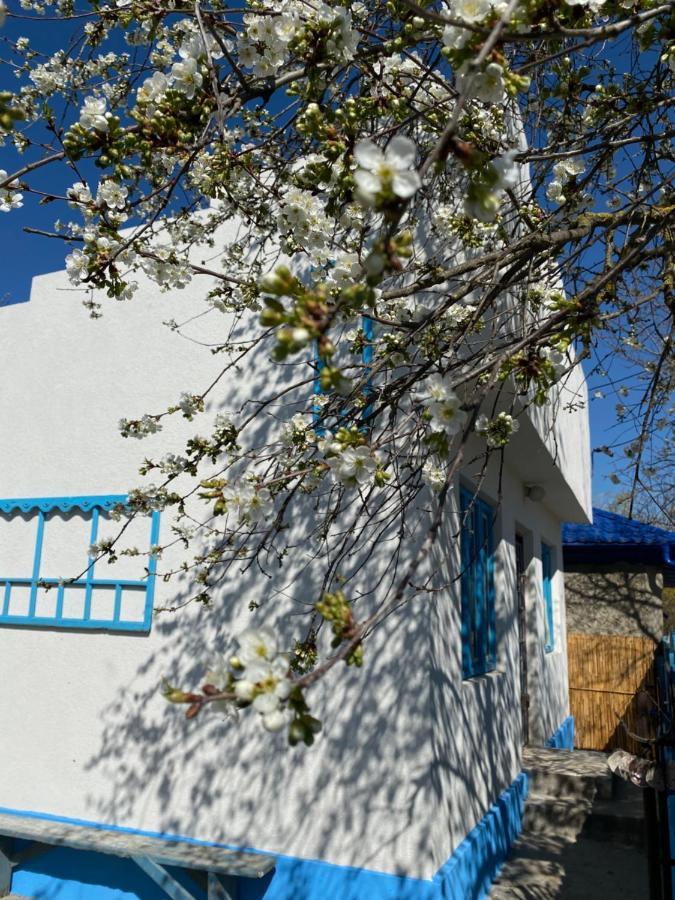 茹里洛夫卡Casa Bunicilor Granny'S House别墅 外观 照片