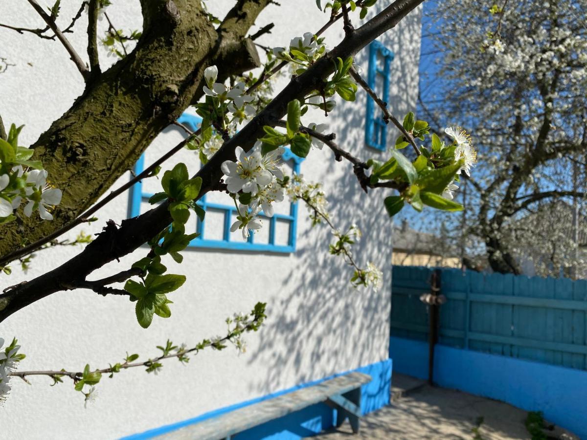 茹里洛夫卡Casa Bunicilor Granny'S House别墅 外观 照片