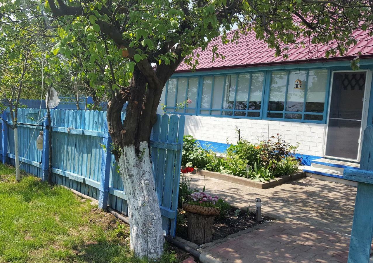 茹里洛夫卡Casa Bunicilor Granny'S House别墅 外观 照片