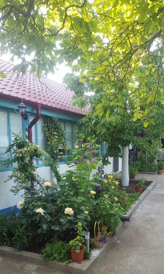 茹里洛夫卡Casa Bunicilor Granny'S House别墅 外观 照片