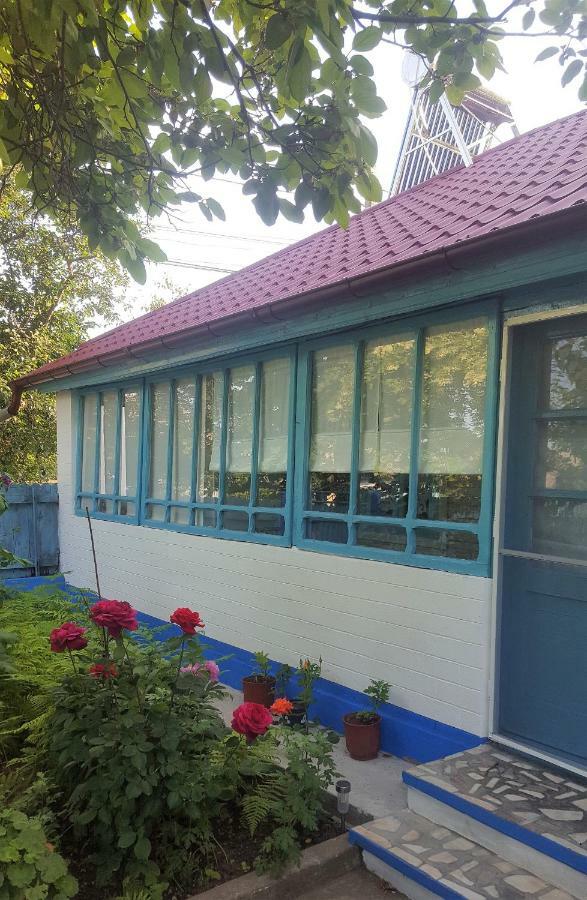 茹里洛夫卡Casa Bunicilor Granny'S House别墅 外观 照片