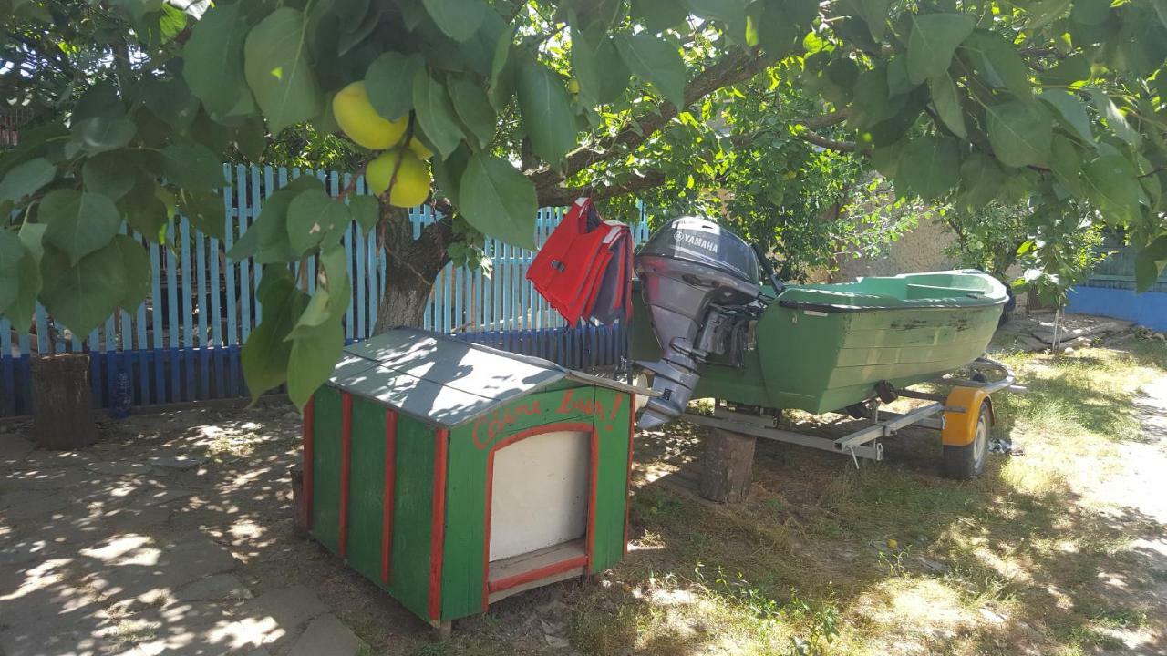 茹里洛夫卡Casa Bunicilor Granny'S House别墅 外观 照片